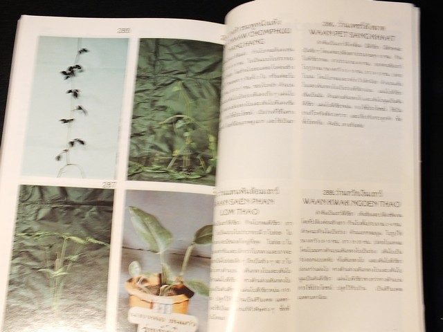 คู่มือดูว่าน ของ สมาคมว่านเเห่งประเทศไทย