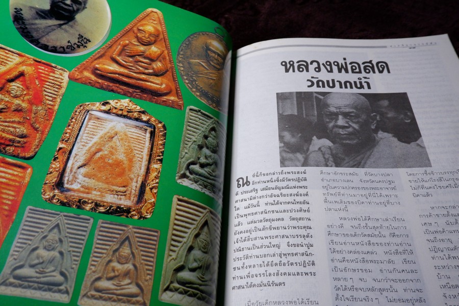 9 พระอาจารย์เสือ โดย สุริยัน ศักดิ์ไธสง (สุดยอด เครื่องรางของขลังขมังเวทย์ 9 เกจิอาจารย์ดัง)