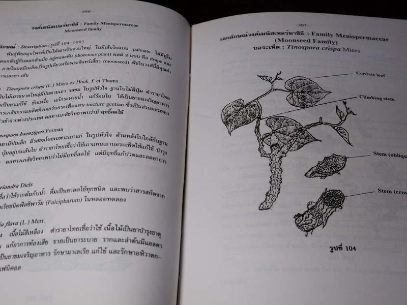 การตรวจเอกลักษณ์พืชสมุนไพร ภาคพิเศษ โดย สถาบันการเเพทย์ไทย เเละ คณะเภสัช ม.เชียงใหม่