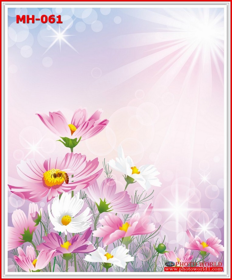 วอลเปเปอร์รูปภาพติดผนังสั่งทำ มีภาพให้เลือกกว่า 50,000 ภาพ ออกแบบกราฟฟิค หรือ รูปภาพตามที่ท่านกำหนด ในสไตล์ท่านเอง "custom made"