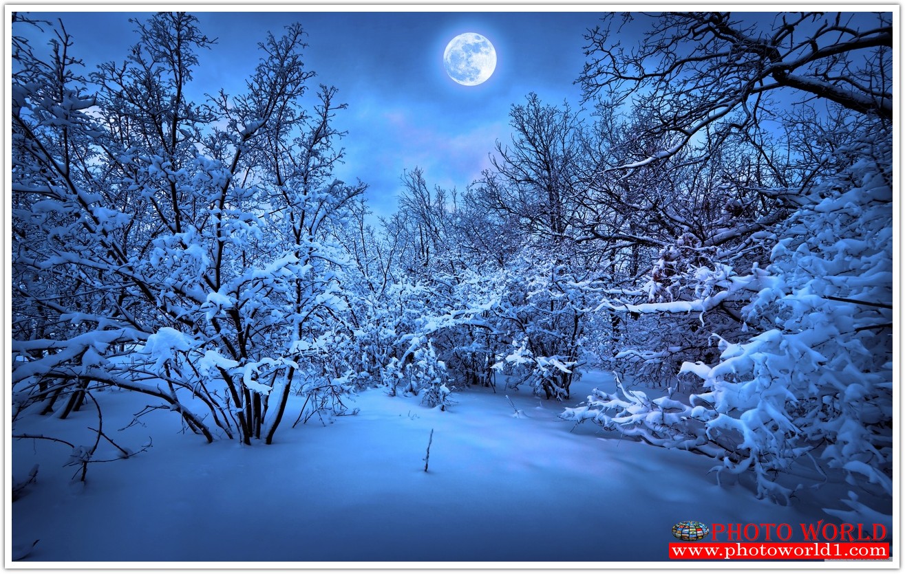 NATURAL วอลเปเปอร์รูปภาพติดผนังสั่งทำ มีภาพให้เลือกกว่า 50,000 ภาพ ออกแบบกราฟฟิค หรือ รูปภาพตามที่ท่านกำหนด ในสไตล์ท่านเอง "custom made"