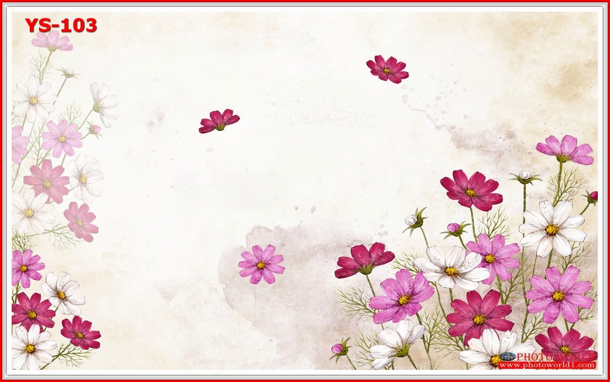 วอลเปเปอร์รูปภาพติดผนังสั่งทำ มีภาพให้เลือกกว่า 50,000 ภาพ ออกแบบกราฟฟิค หรือ รูปภาพตามที่ท่านกำหนด ในสไตล์ท่านเอง "custom made"