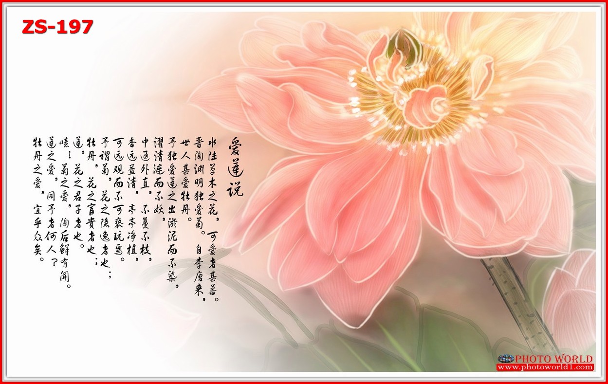 วอลเปเปอร์รูปภาพติดผนังสั่งทำ มีภาพให้เลือกกว่า 50,000 ภาพ ออกแบบกราฟฟิค หรือ รูปภาพตามที่ท่านกำหนด ในสไตล์ท่านเอง "custom made"