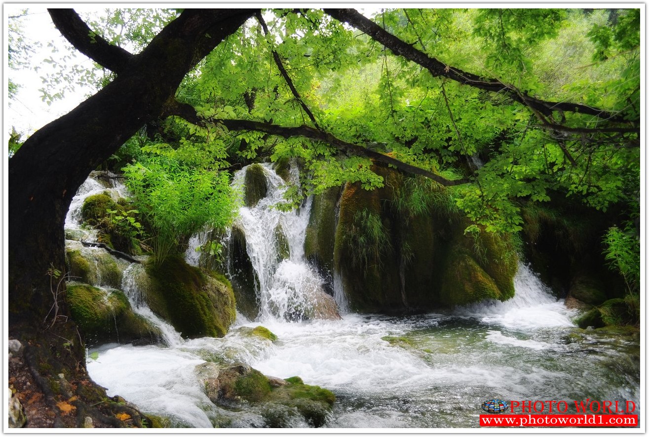 NATURAL วอลเปเปอร์รูปภาพติดผนังสั่งทำ มีภาพให้เลือกกว่า 50,000 ภาพ ออกแบบกราฟฟิค หรือ รูปภาพตามที่ท่านกำหนด ในสไตล์ท่านเอง "custom made"