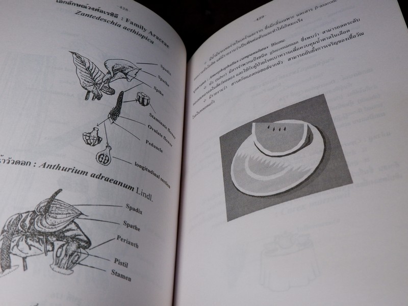 การตรวจเอกลักษณ์พืชสมุนไพร ภาคพิเศษ โดย สถาบันการเเพทย์ไทย เเละ คณะเภสัช ม.เชียงใหม่