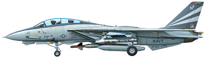 Grumman F-14A Tomcat "Black Knights".