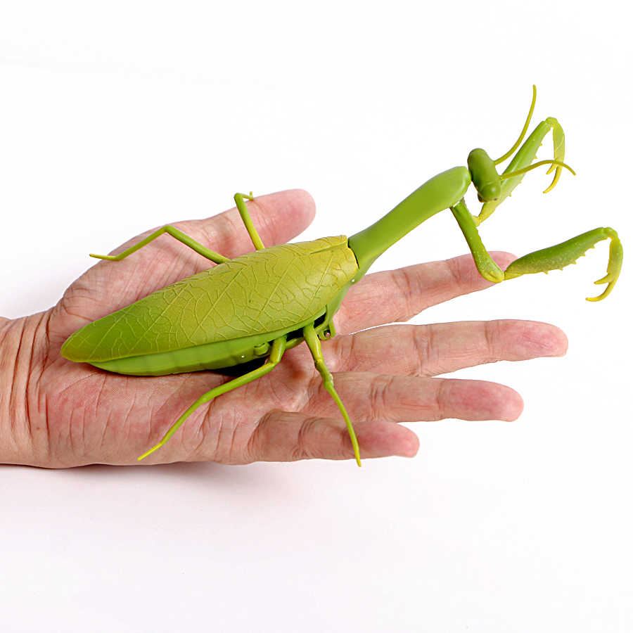 ตั๊กแตนตำข้าวบังคับ (Mantis Infrared Remote Control)