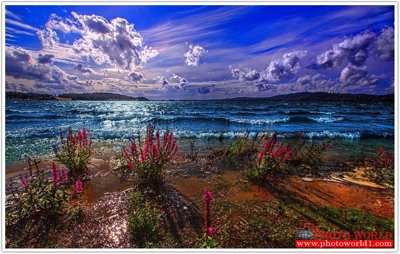 วอลเปเปอร์รูปภาพติดผนังสั่งทำ มีภาพให้เลือกกว่า 50,000 ภาพ ออกแบบกราฟฟิค หรือ รูปภาพตามที่ท่านกำหนด ในสไตล์ท่านเอง "custom made"