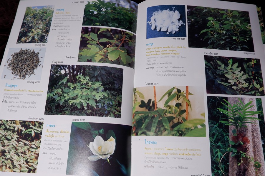 สารานุกรมเครื่องยาไทย 1 โดย วุฒิ วุฒิธรรมเวช ปกแข็ง ปี 2543