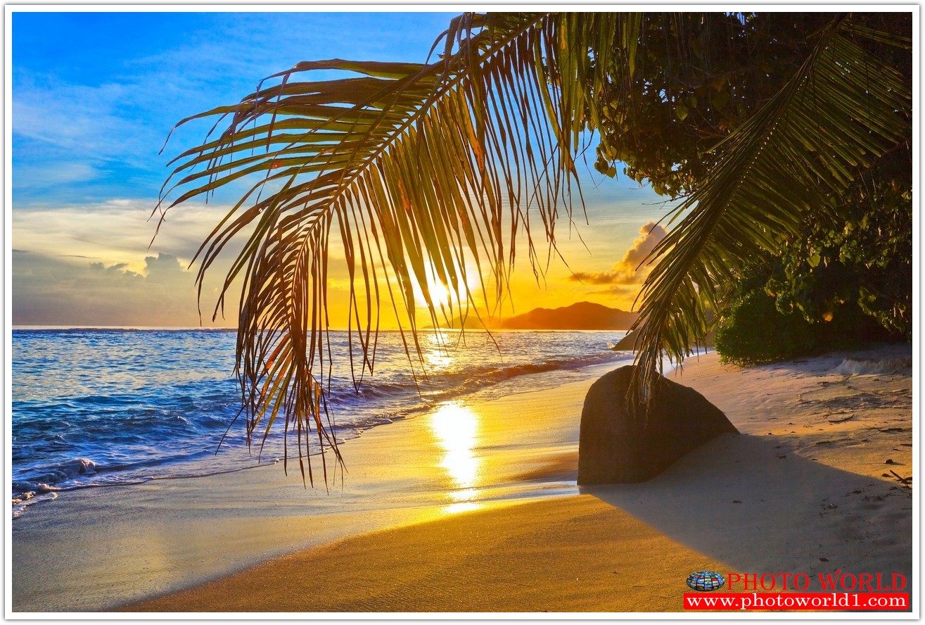 วอลเปเปอร์รูปภาพติดผนังสั่งทำ มีภาพให้เลือกกว่า 50,000 ภาพ ออกแบบกราฟฟิค หรือ รูปภาพตามที่ท่านกำหนด ในสไตล์ท่านเอง "custom made"