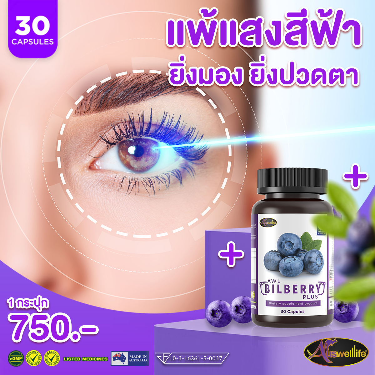 AWL Bilberry