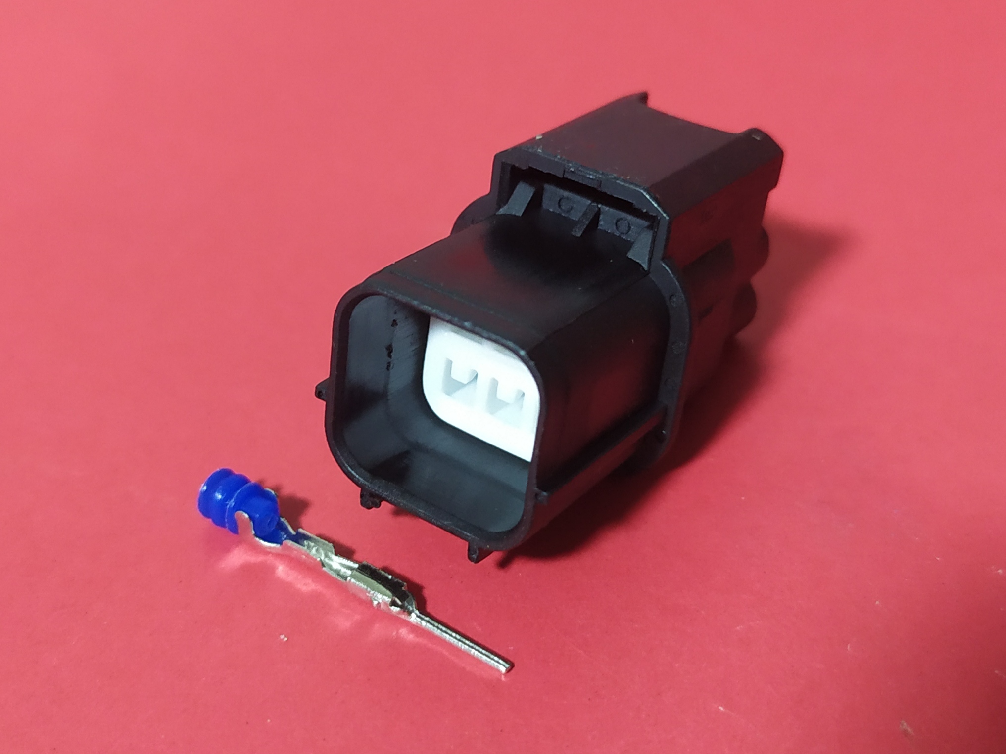 6 พิน ดำ บ่าบน ตัวผู้ #4908