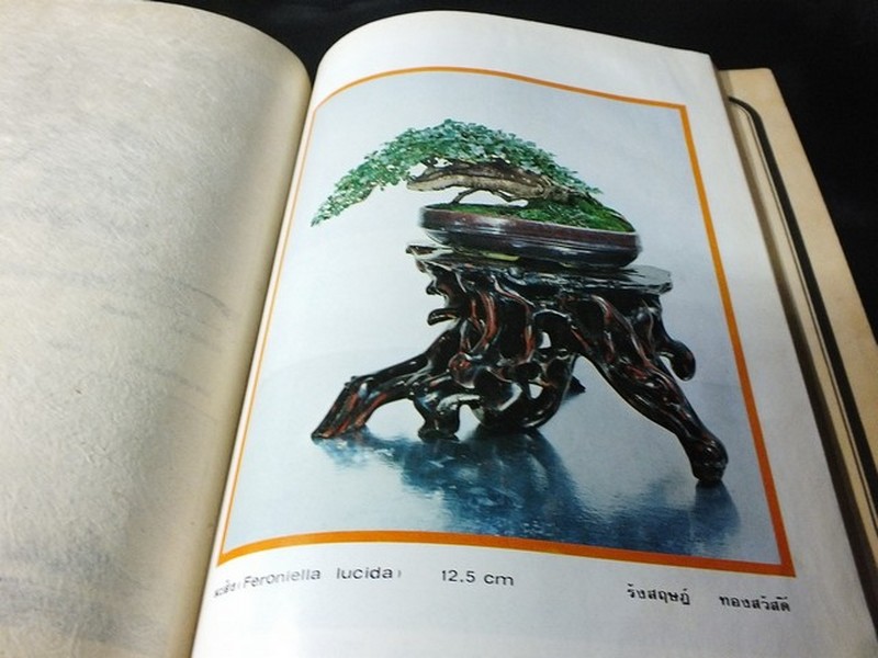 บอนไซ 01 02 03 รวม 3 เล่ม โดยชมรมบอนไซ(ไม้เเคระ) เเห่งประเทศไทย //สอบถาม//