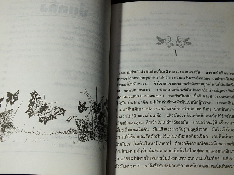 ปีนตลิ่ง โดย รงค์ วงษ์สวรรค์ ปี 2533