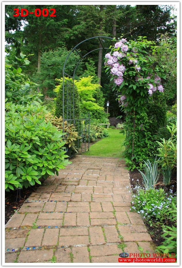 วอลเปเปอร์รูปภาพติดผนังสั่งทำ มีภาพให้เลือกกว่า 50,000 ภาพ ออกแบบกราฟฟิค หรือ รูปภาพตามที่ท่านกำหนด ในสไตล์ท่านเอง "custom made"