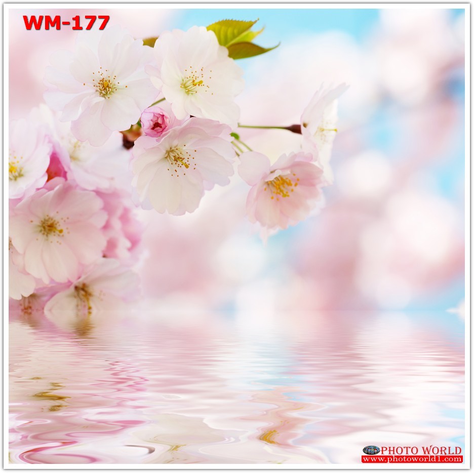 วอลเปเปอร์รูปภาพติดผนังสั่งทำ มีภาพให้เลือกกว่า 50,000 ภาพ ออกแบบกราฟฟิค หรือ รูปภาพตามที่ท่านกำหนด ในสไตล์ท่านเอง "custom made"