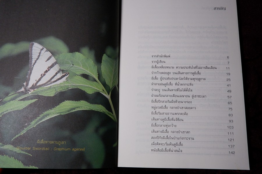 ผีเสื้อ บนเส้นทางสายธรรมชาติ โดย เกรียงไกร สุวรรณภักดิ์