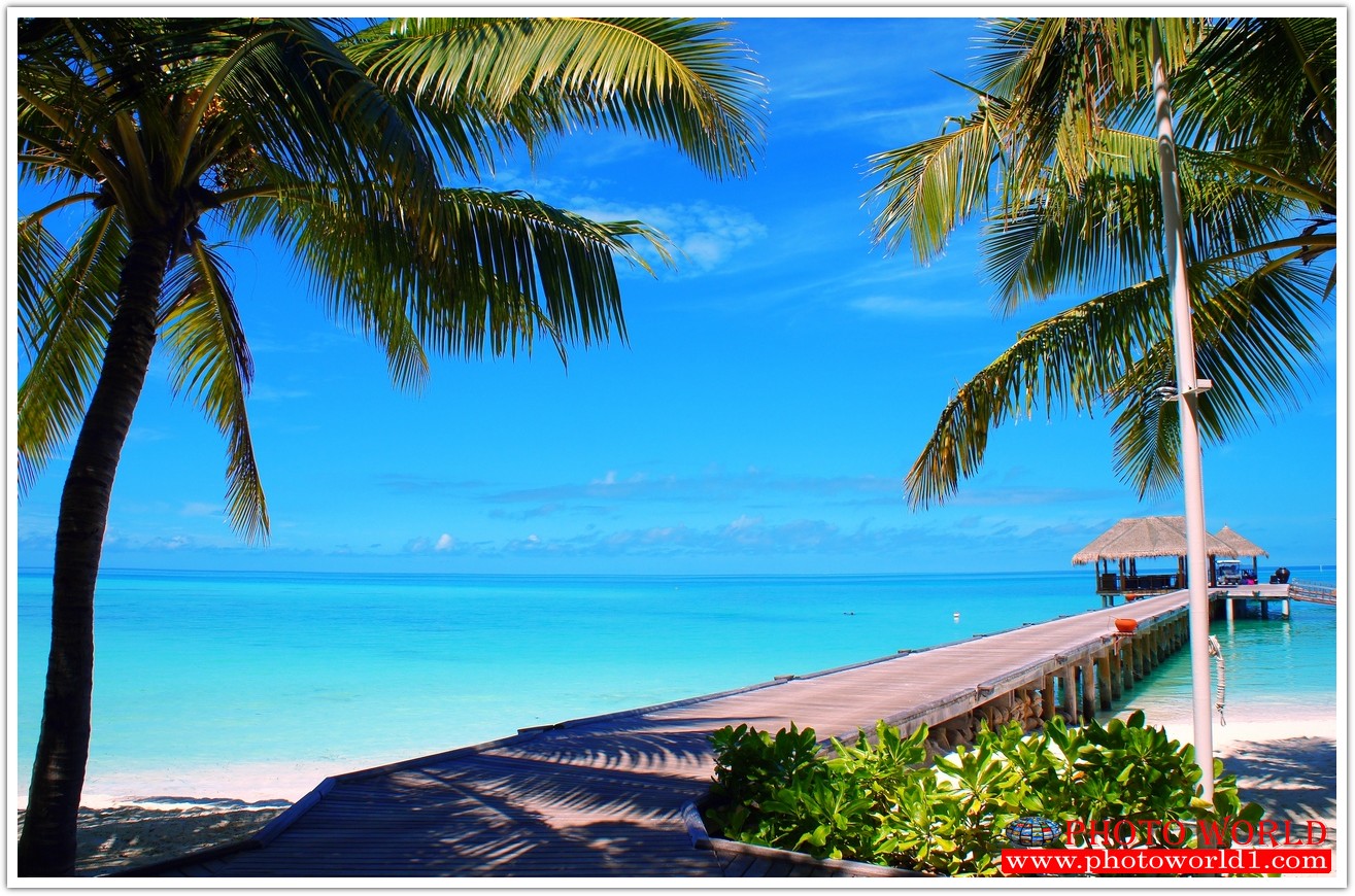 วอลเปเปอร์รูปภาพติดผนังสั่งทำ มีภาพให้เลือกกว่า 50,000 ภาพ ออกแบบกราฟฟิค หรือ รูปภาพตามที่ท่านกำหนด ในสไตล์ท่านเอง "custom made"