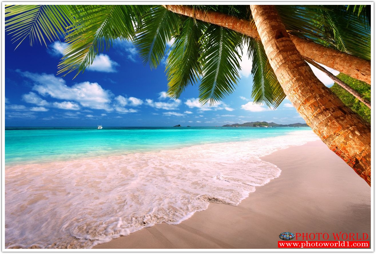 NATURAL วอลเปเปอร์รูปภาพติดผนังสั่งทำ มีภาพให้เลือกกว่า 50,000 ภาพ ออกแบบกราฟฟิค หรือ รูปภาพตามที่ท่านกำหนด ในสไตล์ท่านเอง "custom made"