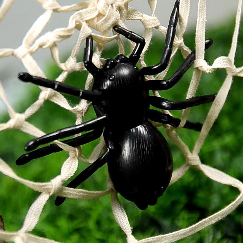 แมงมุมบังคับ (Innovation Spider)