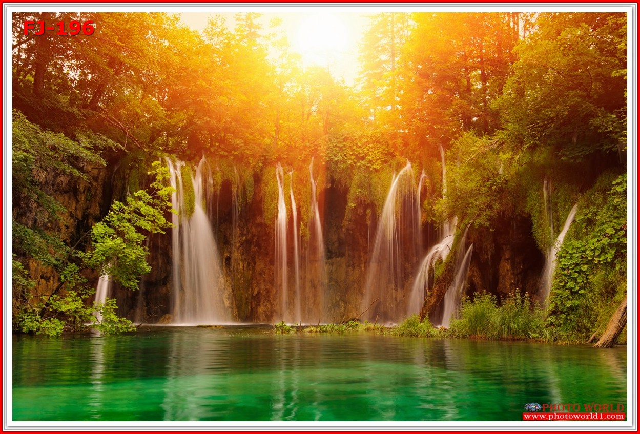 วอลเปเปอร์รูปภาพติดผนังสั่งทำ มีภาพให้เลือกกว่า 50,000 ภาพ ออกแบบกราฟฟิค หรือ รูปภาพตามที่ท่านกำหนด ในสไตล์ท่านเอง "custom made"