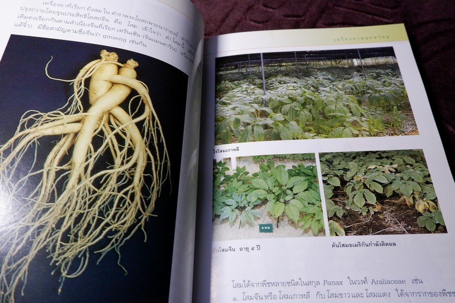 คู่มือเภสัชกรรมเเผนไทย เล่ม 2 เครื่องยาพฤกษวัตถุ พิมพ์ปี 2545