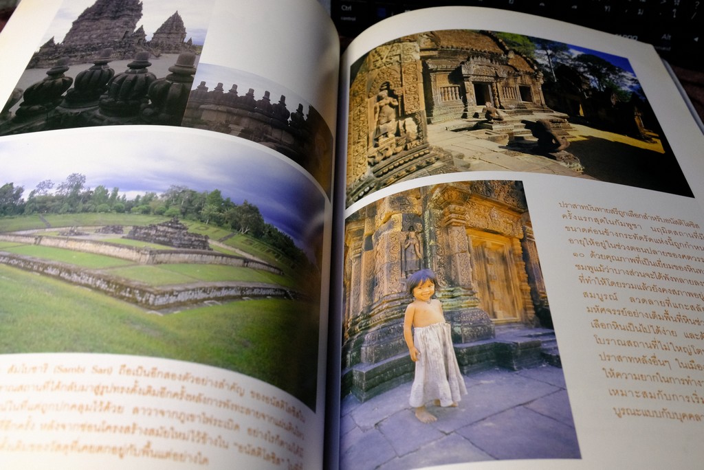 การศึกษาเปรียบเทียบ การบูรณะโบราณสถาน อนัสติโลซิส โดย กรมศิลปากร หนา 125 หน้า ปี 2540