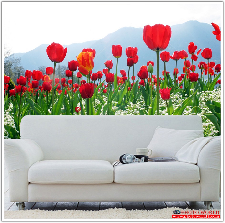 วอลเปเปอร์รูปภาพติดผนังสั่งทำ มีภาพให้เลือกกว่า 50,000 ภาพ ออกแบบกราฟฟิค หรือ รูปภาพตามที่ท่านกำหนด ในสไตล์ท่านเอง "custom made"