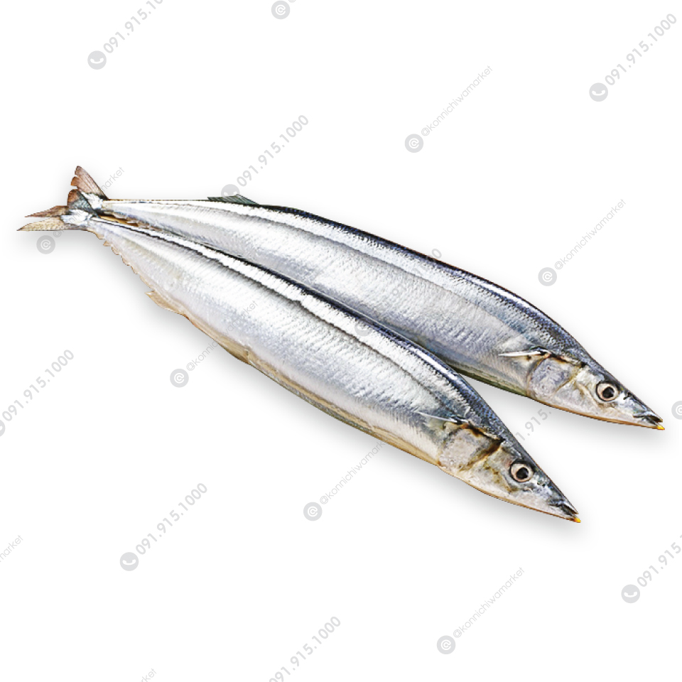 ปลาซันมะ / Sanma