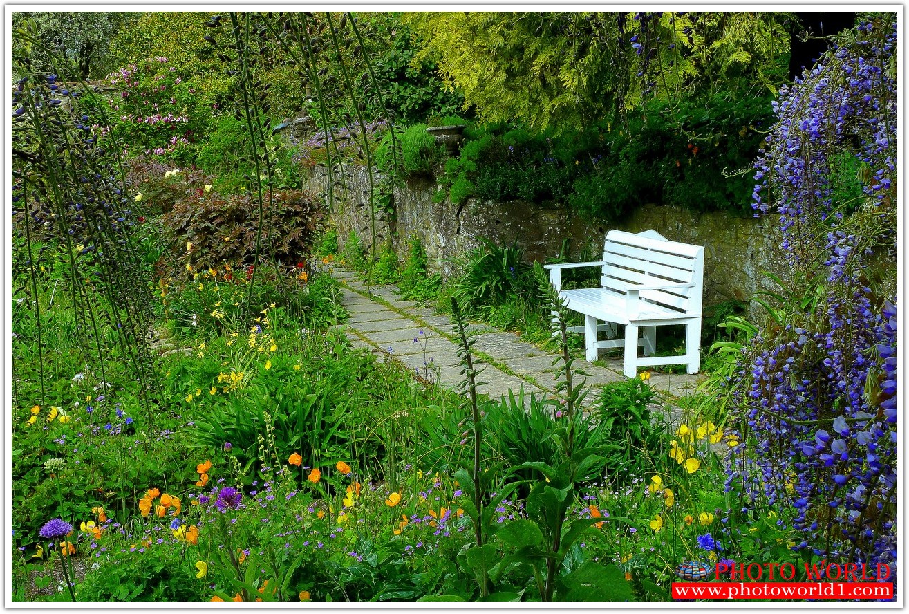 NATURAL วอลเปเปอร์รูปภาพติดผนังสั่งทำ มีภาพให้เลือกกว่า 50,000 ภาพ ออกแบบกราฟฟิค หรือ รูปภาพตามที่ท่านกำหนด ในสไตล์ท่านเอง "custom made"