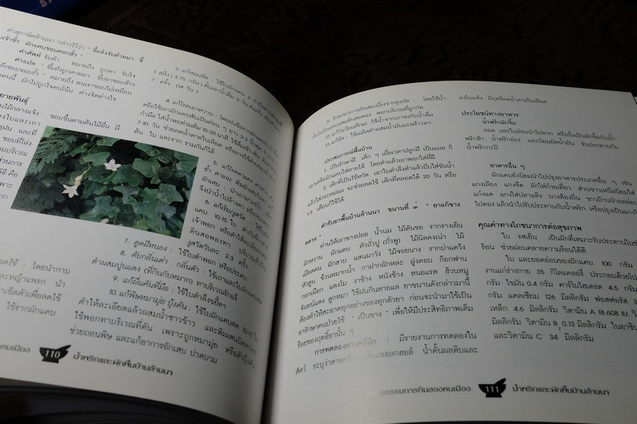 วัฒนธรรมการกินของคนพื้นเมือง น้ำพริกเเละผักพื้นบ้านล้านนา พิมพ์ปี 2543