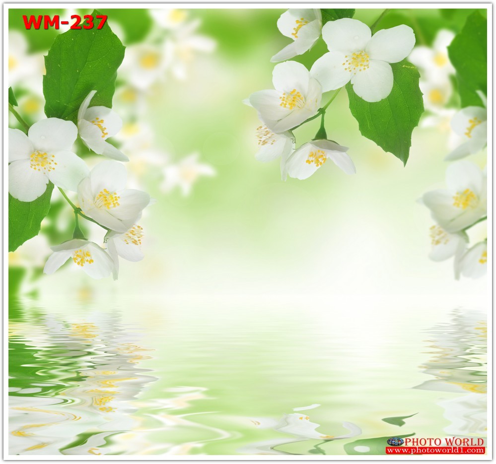 วอลเปเปอร์รูปภาพติดผนังสั่งทำ มีภาพให้เลือกกว่า 50,000 ภาพ ออกแบบกราฟฟิค หรือ รูปภาพตามที่ท่านกำหนด ในสไตล์ท่านเอง "custom made"