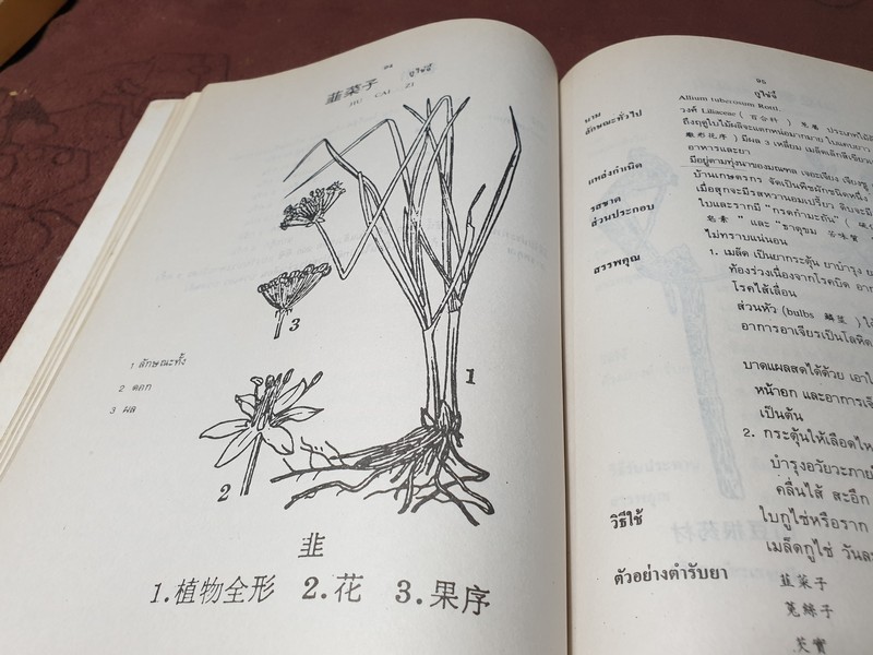 สมุนไพรจีน โดย เจนกิจ เวชพงศา