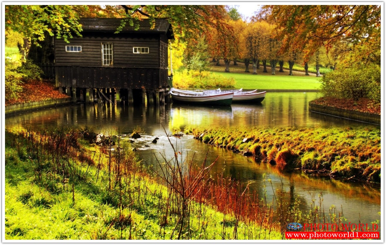 NATURAL วอลเปเปอร์รูปภาพติดผนังสั่งทำ มีภาพให้เลือกกว่า 50,000 ภาพ ออกแบบกราฟฟิค หรือ รูปภาพตามที่ท่านกำหนด ในสไตล์ท่านเอง "custom made"