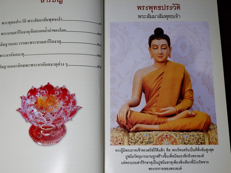พระธาตุเสด็จ ปาฏิหารย์ที่เกิดจากการปฏิบัติ ปี 2551