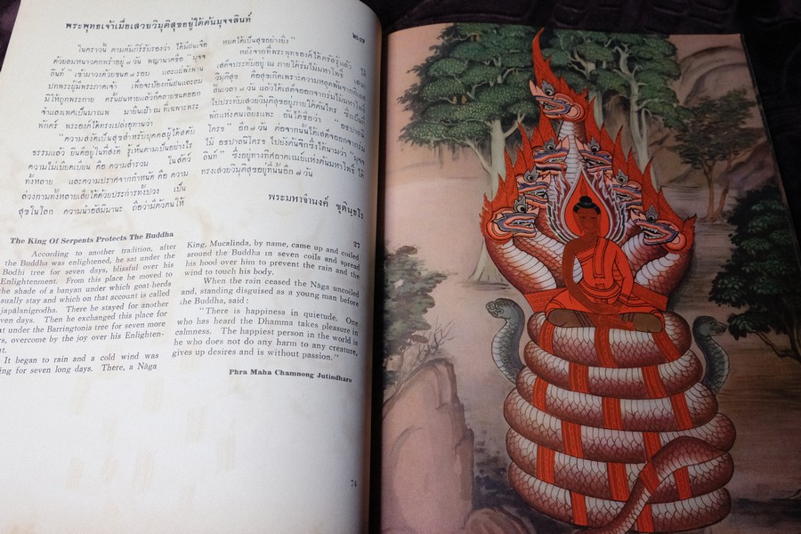 สมุดภาพ พุทธจริยาประวัติ the life of the buddha ตามภาพบนผนังโบสถ์วิหารในประเทศไทย โดย สำนักข่าวอเมริกัน ปี 2500