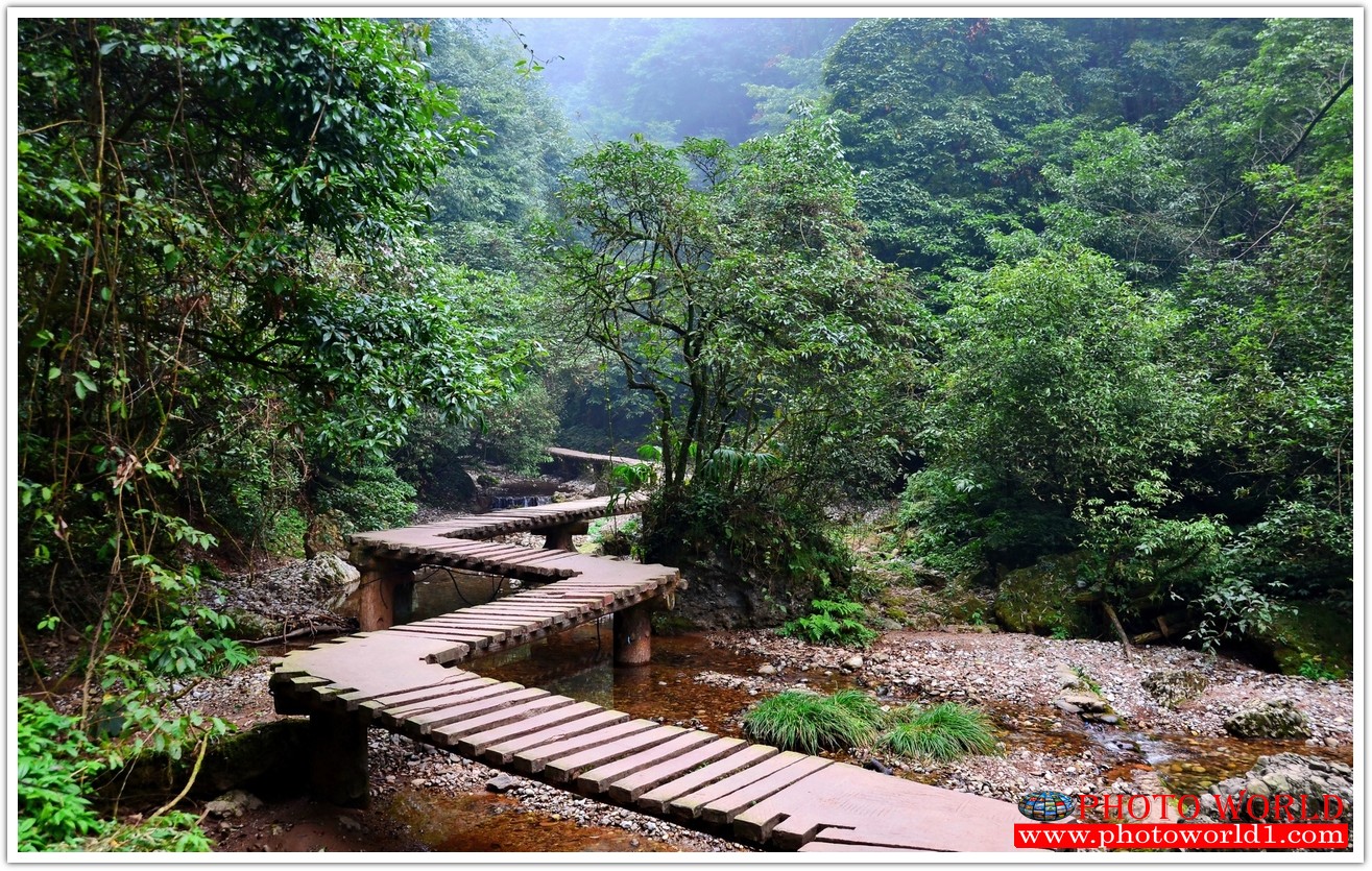 NATURAL วอลเปเปอร์รูปภาพติดผนังสั่งทำ มีภาพให้เลือกกว่า 50,000 ภาพ ออกแบบกราฟฟิค หรือ รูปภาพตามที่ท่านกำหนด ในสไตล์ท่านเอง "custom made"