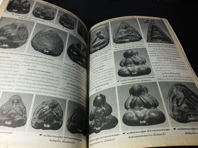 มหาโพธิ์พิเศษ หลวงปู่ศุข วัดปากคลองมะขามเฒ่า หนา 122 หน้า