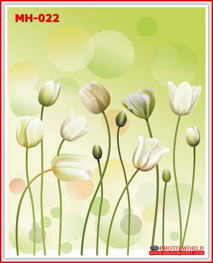 วอลเปเปอร์รูปภาพติดผนังสั่งทำ มีภาพให้เลือกกว่า 50,000 ภาพ ออกแบบกราฟฟิค หรือ รูปภาพตามที่ท่านกำหนด ในสไตล์ท่านเอง "custom made"