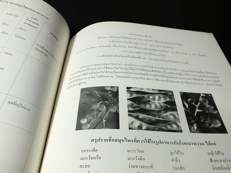 นิทรรศการชุุมนุมเเพทย์เเผนไทยเเละสมุนไพรเเห่งชาติ ครั้งที่ 2 โดยสถาบันการเเพทย์ไทย หนา 112 หน้า ปี 2540