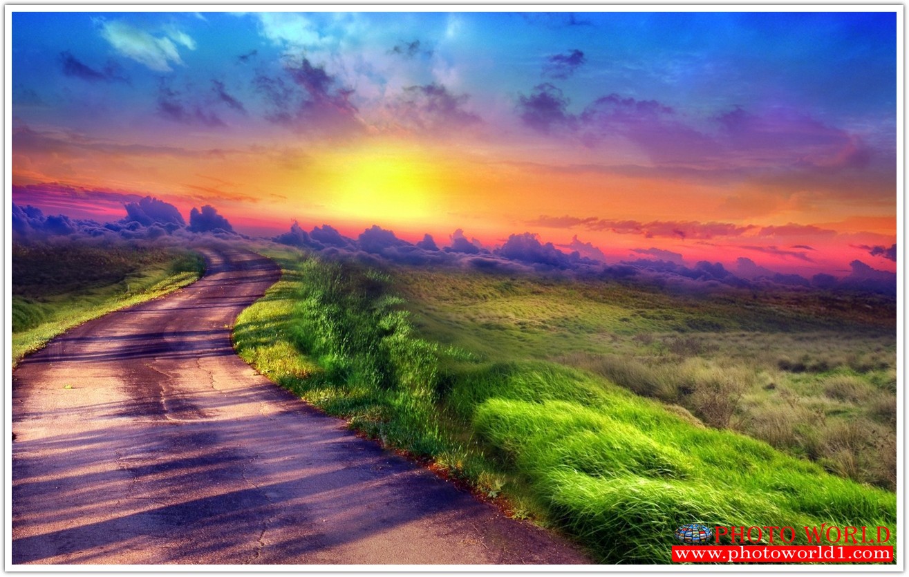 NATURAL วอลเปเปอร์รูปภาพติดผนังสั่งทำ มีภาพให้เลือกกว่า 50,000 ภาพ ออกแบบกราฟฟิค หรือ รูปภาพตามที่ท่านกำหนด ในสไตล์ท่านเอง "custom made"