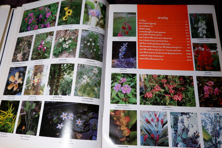 ดอกไม้เเละประวัติไม้ดอกเมืองไทย โดย วิชัย อภัยสุวรรณ ปกแข็ง ปี 2532