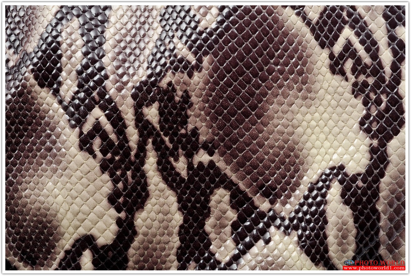 วอลเปเปอร์รูปภาพติดผนังสั่งทำ TEXTURES (PHOTO STOCK) มีภาพให้เลือกกว่า 50,000 ภาพ ออกแบบกราฟฟิค หรือ รูปภาพตามที่ท่านกำหนด ในสไตล์ท่านเอง "custom made"