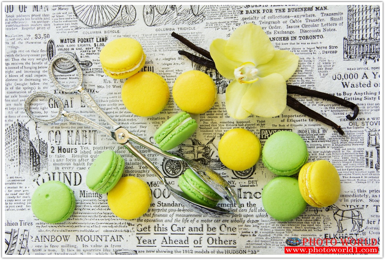 วอลเปเปอร์รูปภาพติดผนังสั่งทำ มีภาพให้เลือกกว่า 50,000 ภาพ ออกแบบกราฟฟิค หรือ รูปภาพตามที่ท่านกำหนด ในสไตล์ท่านเอง "custom made"