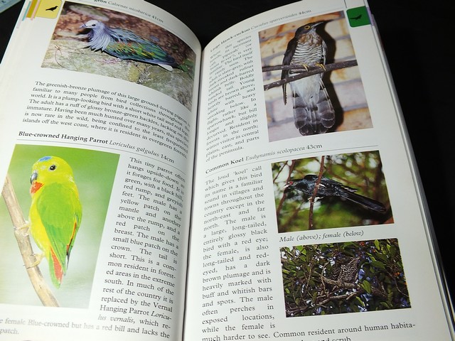 A Photographic Guide to BIRDS of Thailand by Michael Webster and Chew Yen Fook