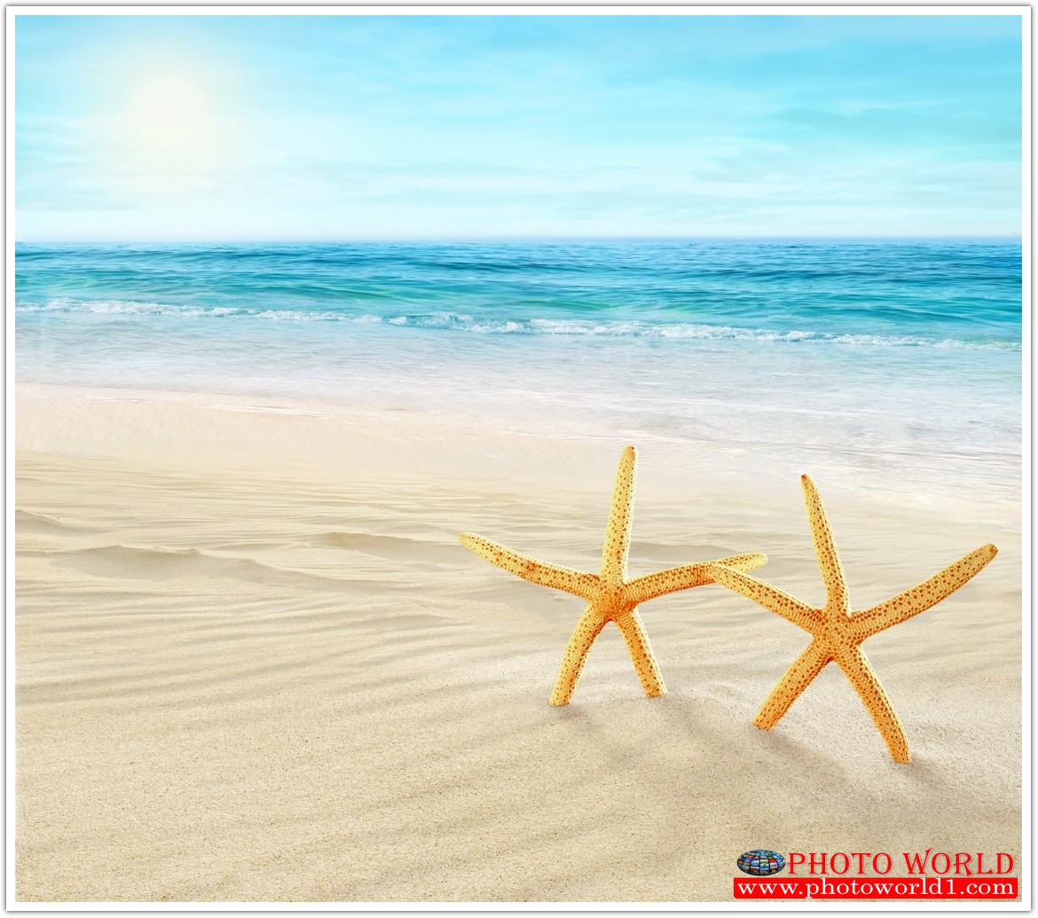 วอลเปเปอร์รูปภาพติดผนังสั่งทำ มีภาพให้เลือกกว่า 50,000 ภาพ ออกแบบกราฟฟิค หรือ รูปภาพตามที่ท่านกำหนด ในสไตล์ท่านเอง "custom made"