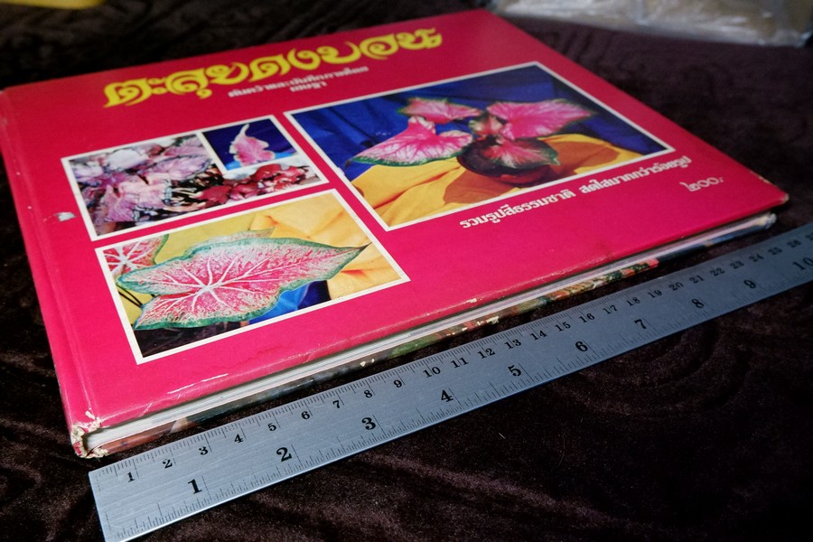 ตะลุยดงบอน โดย เชษฐา ปกเเข็ง 113 หน้า ปี 2524