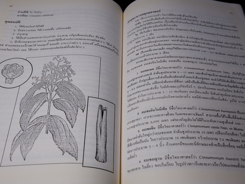 พืชเครื่องเทศ เเละ สมุนไพร โดย รุ่งรัตน์ เหลืองนทีเทพ