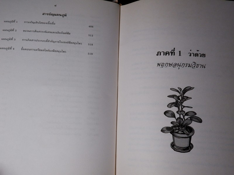การตรวจเอกลักษณ์พืชสมุนไพร ภาคพิเศษ โดย สถาบันการเเพทย์ไทย เเละ คณะเภสัช ม.เชียงใหม่