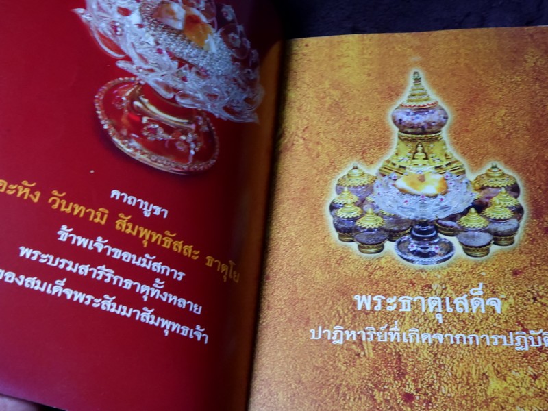 พระธาตุเสด็จ ปาฏิหารย์ที่เกิดจากการปฏิบัติ ปี 2551
